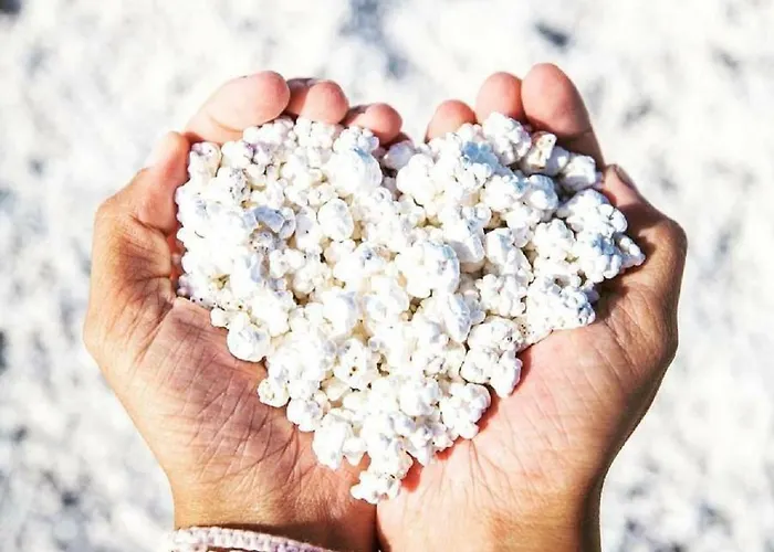 Apartment Popcorn House Corralejo